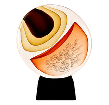 Load image into Gallery viewer, ORBIT Murano Glass Sculpture